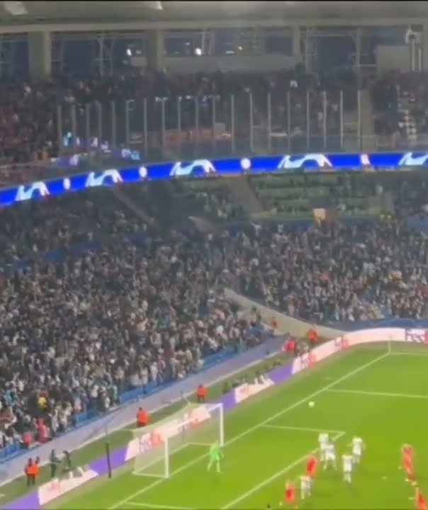 Benfica fans throw flares toward Sociedad supporters at Champions League  match - The San Diego Union-Tribune