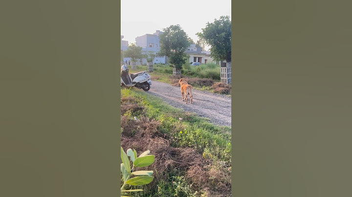 Leo ko chod dia mene sadak pe #shorts #minivlog | Anant Rastogi