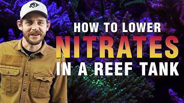 How to Lower Nitrates in a Saltwater Aquarium: Proven Techniques For Success