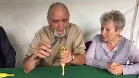 Jim May on how to make a talking banana