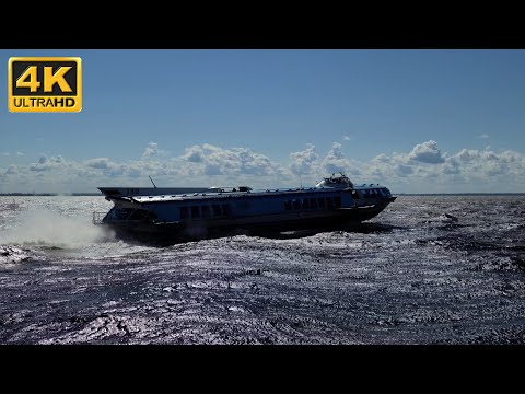 Video: Neva Bay of the Gulf of Finland: description