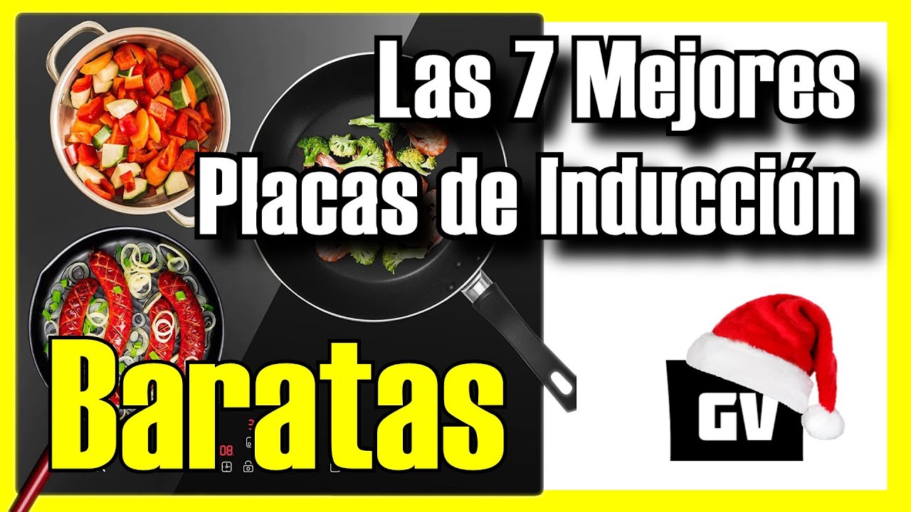 Las mejores ofertas en Placas de placas de inducción