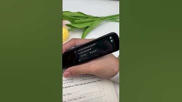 Newyes translator can translate Arabic