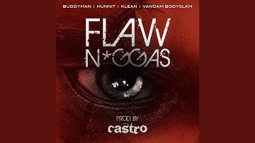 Flaw Niggas