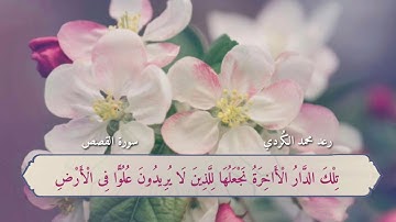 أواخر سورة القصص بصوت المبدع رعد الكردي