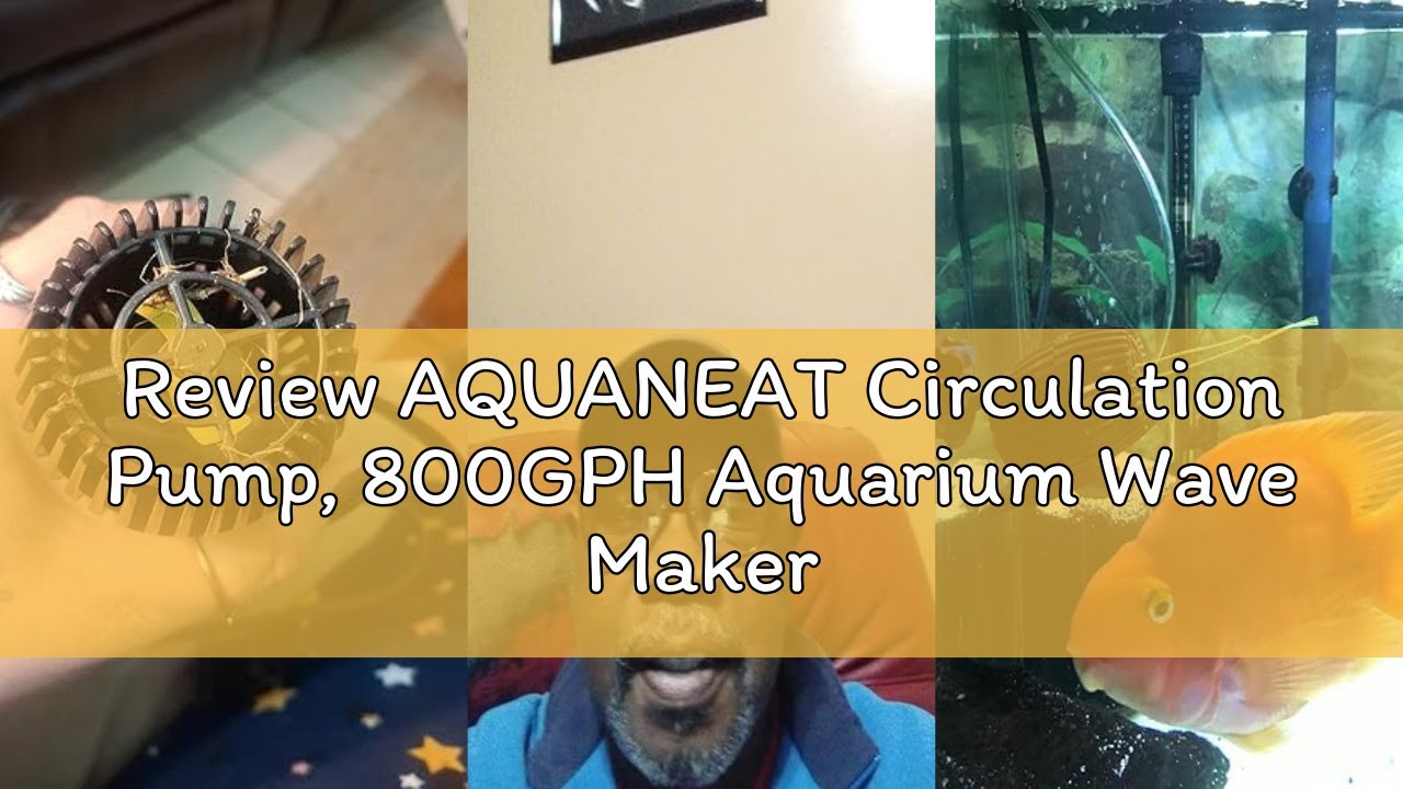 Review AQUANEAT Circulation Pump, 800GPH Aquarium Wave Maker, Fish Tank Powerhead Submersible Water