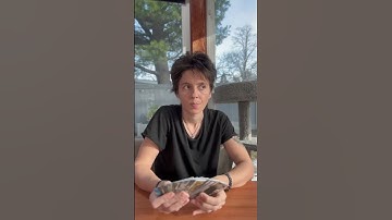 TAURUS - Spirit of the Animals Energy for Today