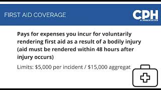 The Basics of Professional Liability Insurance  Sarah Holiona Webinar