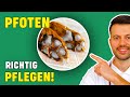 Wie pflege ich Hundepfoten? - Tierarzt Tipps für richtige Pfotenpflege!