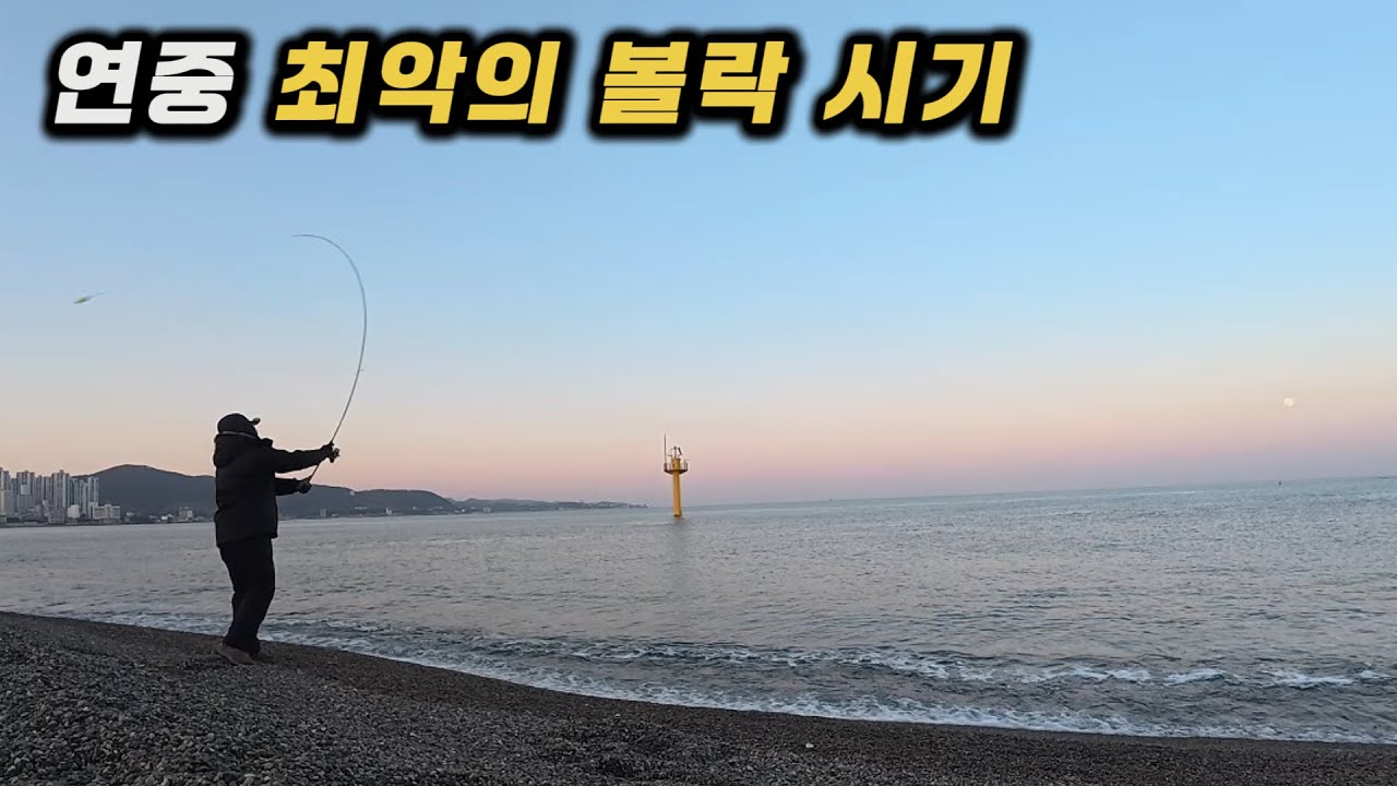 연중 최악의 볼락 시기, 실제로는?