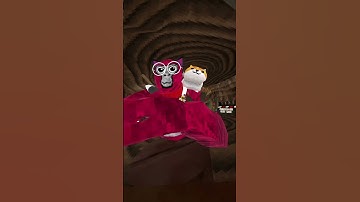 Day 3 of joining my fan code #gorillatag #gorillatagquest #vr