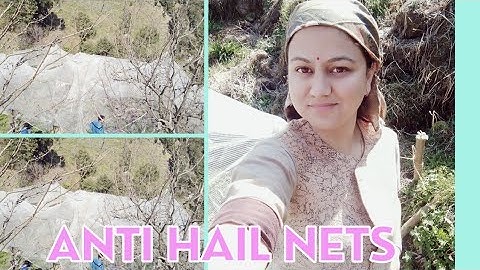 Anti Hail Net Installation in Himachal Pradesh (Shimla)