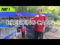 Part 1 breeding cage ni paolo malvar  arms way loft 