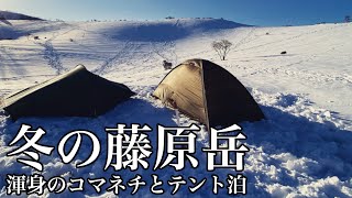 【藤原岳】2022 冬のテント泊は最高です【鈴鹿山脈】