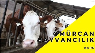 Ömürcan Hayvancilik Eurostar Tv Anlat Bakalım Türkiye