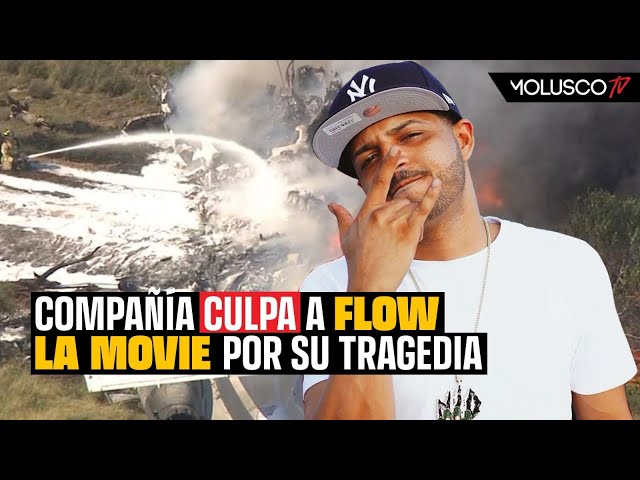 Flow La Movie fue el culpable del accidente, segun Helidosa. Molusco destruye la compañia class=