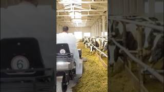 УВЕЛИЧИТЬ ПРОИЗВОДСТВО КОРМОВ И УСКОРИТЬ РЕМОНТ СЕЛЬХОЗТЕХНИКИ #гомель #news #беларусь
