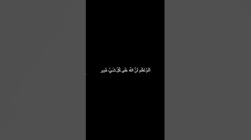 أَلَمْ تَعْلَم أَنَّ اللَّه عَلَى كُلّ شَيْء قَدِير [للقارئ : ياسر الدوسري ]
