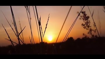 Iwan Fals Story WA | Negri Kaya
