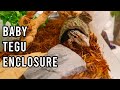 Bringing him home!! TEGU ENCLOSURE SET UP! | KristenLeannimal