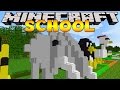 Minecraft School : ZOO ANIMALS LEGO BUILDING CHALLENGE!