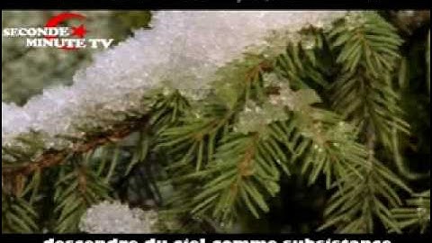 تلاوه من سورة الجاثيه -الشيخ عنتر مسلم.flv