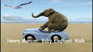 Henry Mancini Baby Elephant Walk