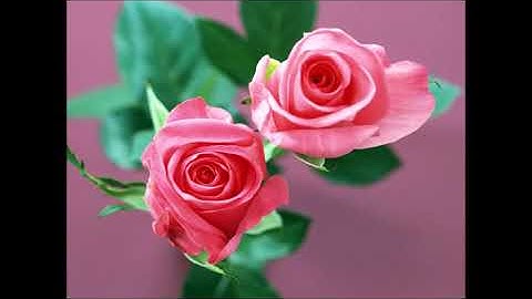 KHỞI ĐẦU KHÁC CỦA HEIDEGGER (I-III), Trần Công Tiến  #Heidegger  #tiencongtran #other beginning