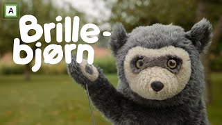 Det er jeg som er Brillebjørn - NRK Super