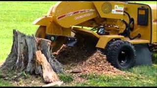 tree and stump removal
