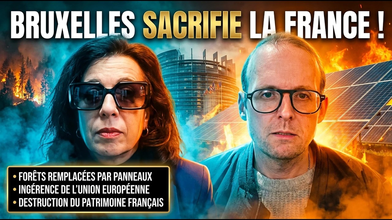 L'expert contredit la presse et prouve que BRUXELLES prépare l'IMPOSTURE | GPTV