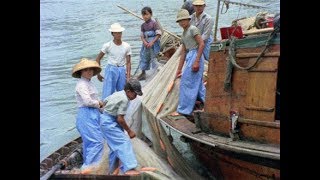 China Coast Fishing - PREVIEW