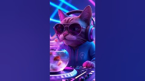 🎧🐱 Crazy Cat Taking Over As DJ – The Ultimate Feline Party! 🐱🎧