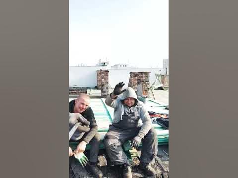 Siema wszystkim #shorts - YouTube