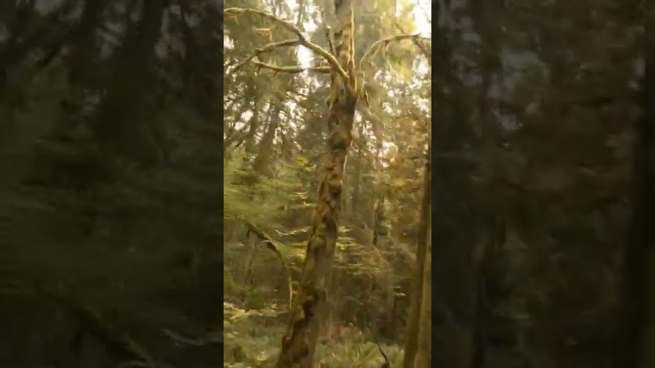 Flying Through Smoke In The Forest Drone Crash 😬 