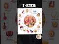 Your skin composition tells your internal health.🧑‍⚕️🧑🧒#skincare#skincareroutine#skin #skincaretips