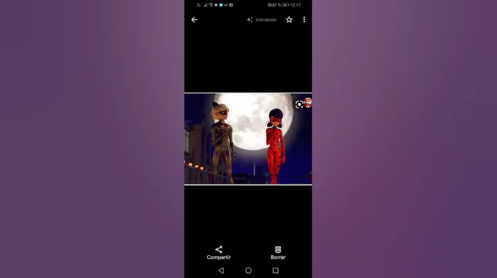 miraculous :ladynoir