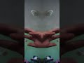 SCP-9184 the floating hand spider