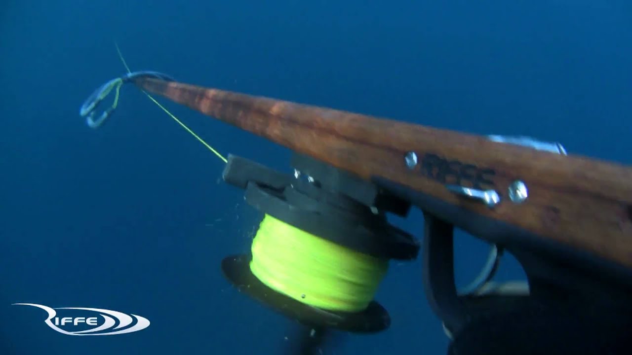 Spearfishing – Team Riffe in Panama