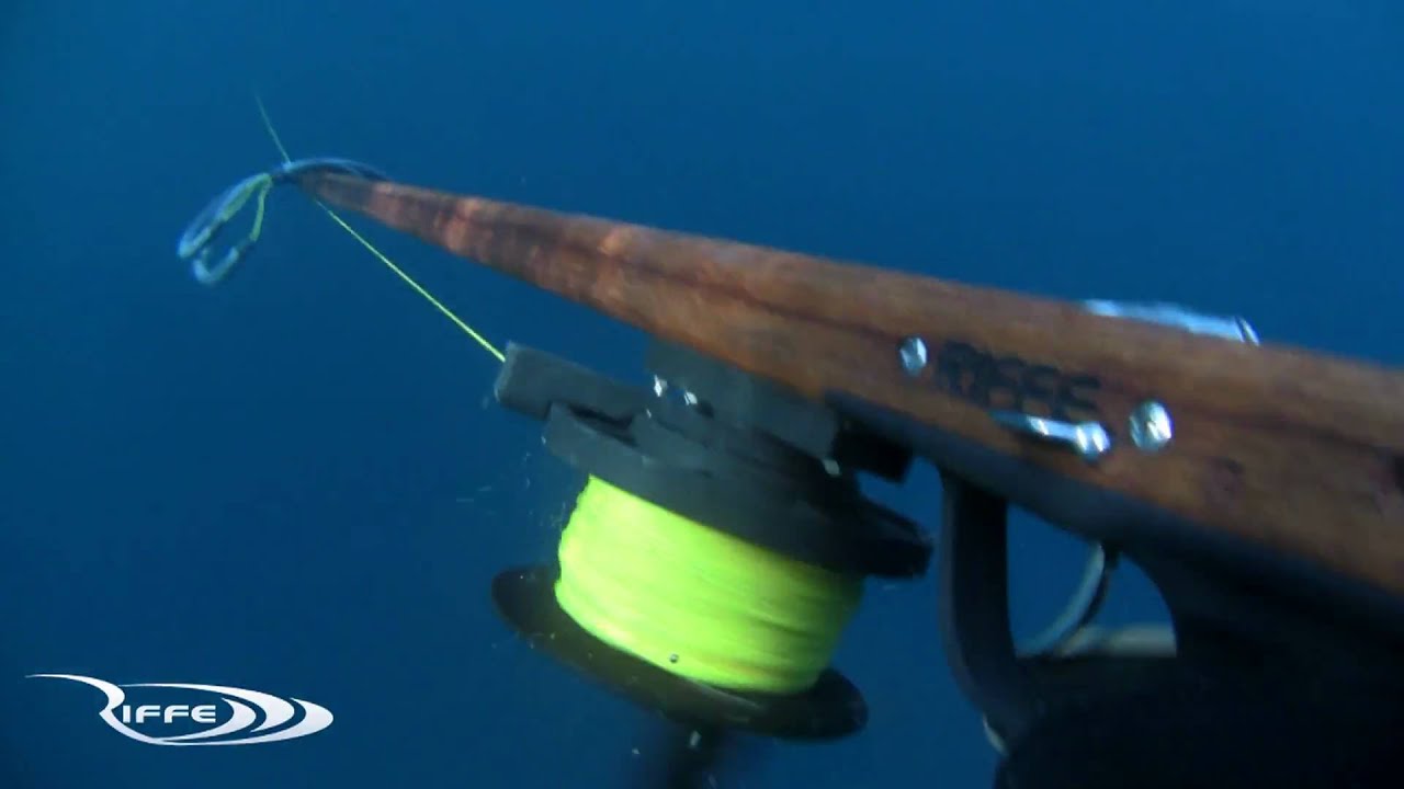 Spearfishing - Team Riffe in Panama