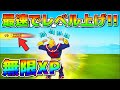 【最強レベル上げ】誰でも40万XP！？今すぐやるべき無限XPの裏技！！【フォートナイト】【チャプター4】