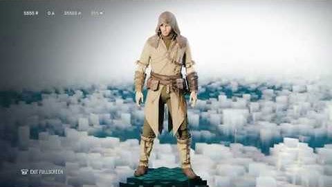 Assassin creed unity custom class. the revolutionary raider
