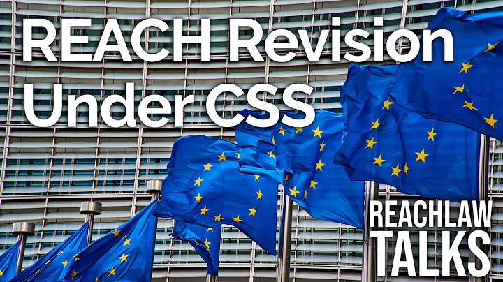 REACH Revision Under CSS