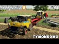 Harvester transportation, harvesting & sale triticale | Tymonkowo | Farming simulator 19 | ep #46