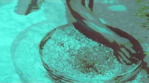 DÉERR - Punkal (Official Video)