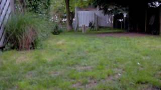 SDC10004.AVI