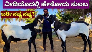 Goat farming too much loss? Green Acre Farms | Goat farming in Karnataka | meke sakanike Kannada