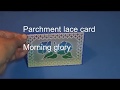 A parchment card - Morning glory. Parchment art # 15