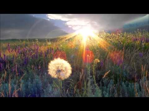 Небеса цветочки Nebesa Flowers