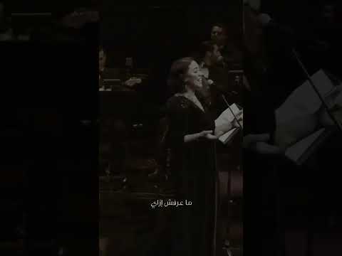 وقابلتك انت لقيتك بتغير كل حياتي ام كلثوم